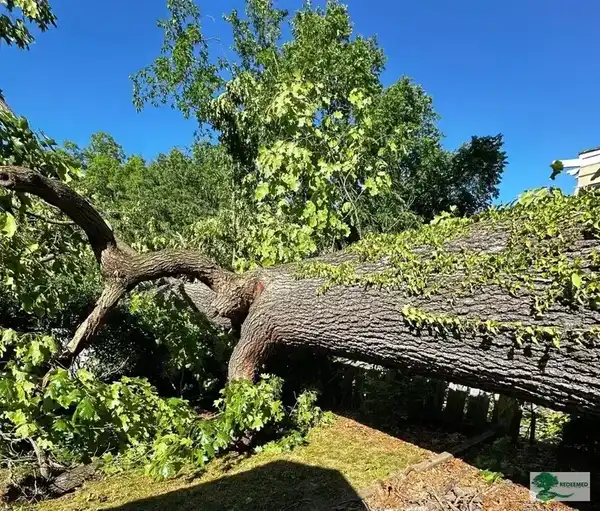 Emergency Storm Damage Cleanup